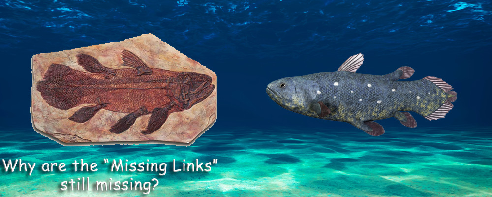 Fossil Record - Missing Links still Missing!